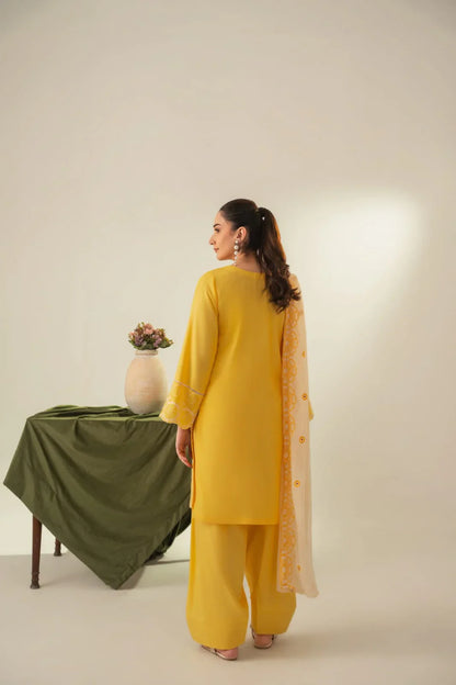 Surya Embroidered 3Pc